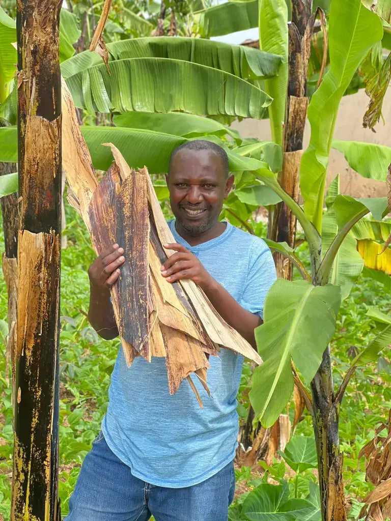 Handcrafted Banana Fiber & Kitenge Sunflower Card