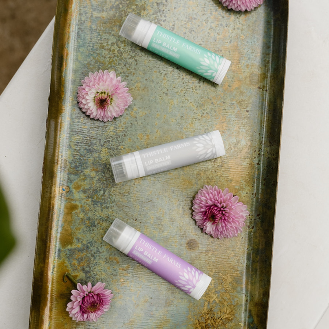 Organic Shea Butter & Beeswax Lip Balm | Unscented