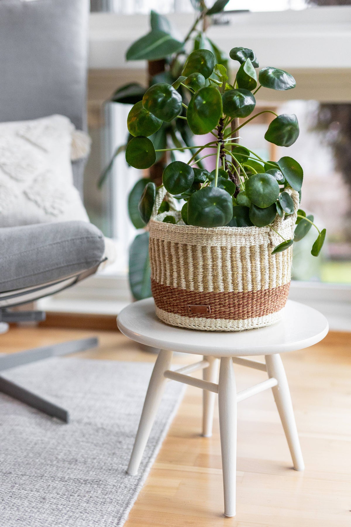 Sisal Round Basket with Handles