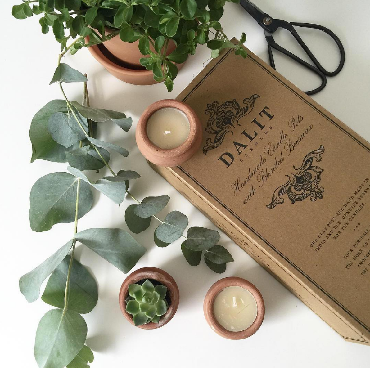 Dalit Goods Terracotta Beeswax Tea Light Candles - Box of 10