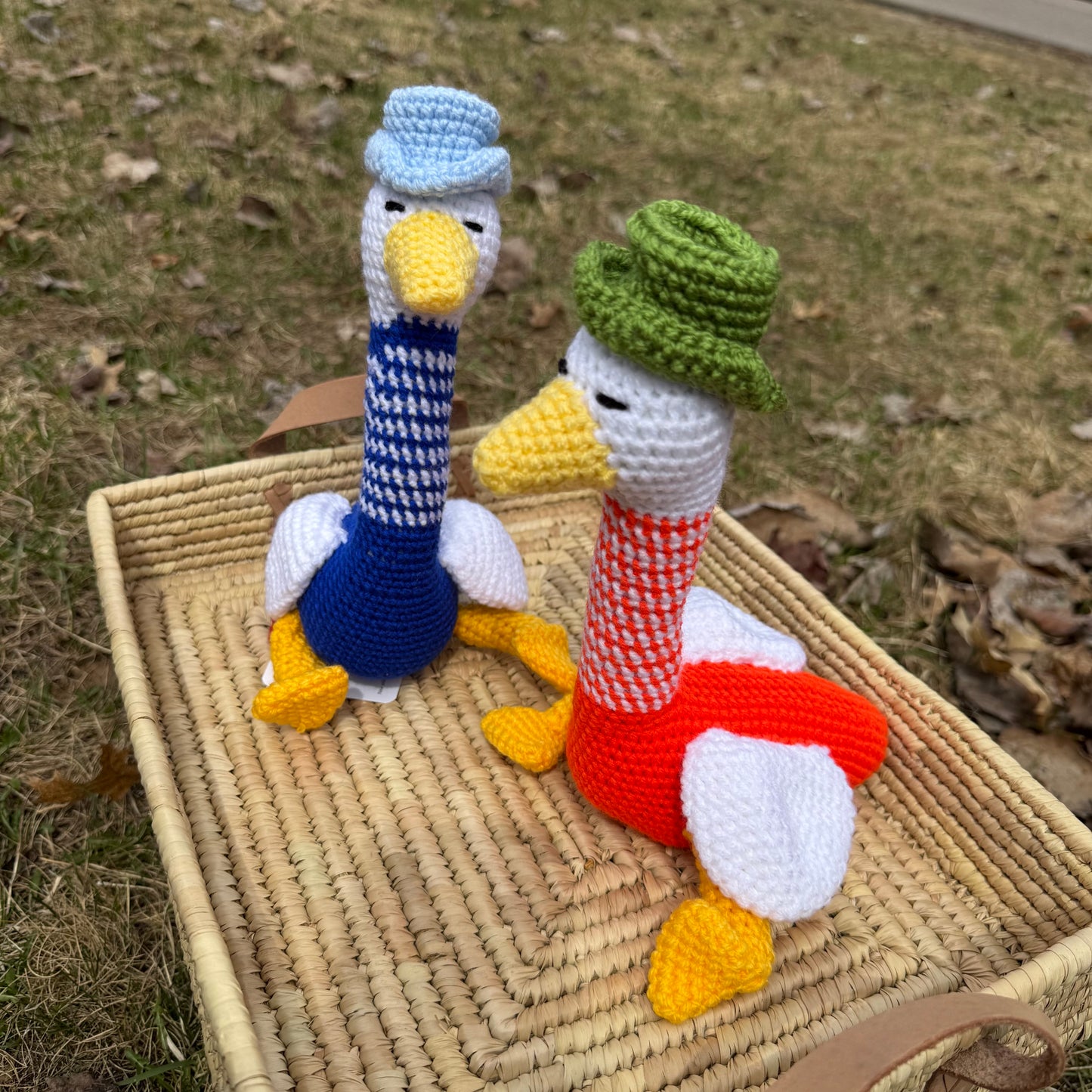 Gentleman Goose