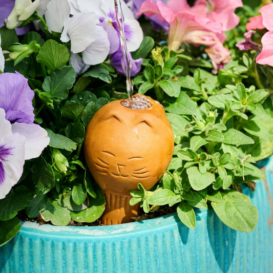 Self Watering Plant Pet - Cat