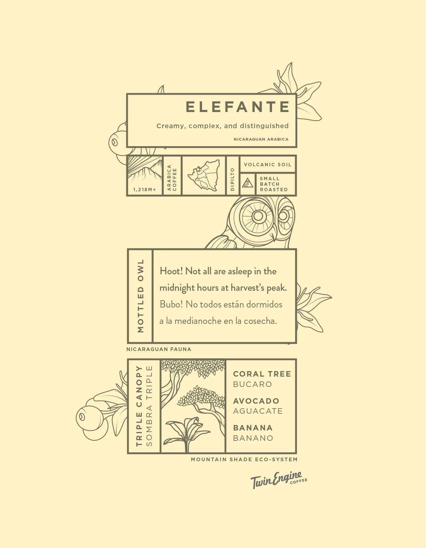 Elefante Reserve Maragogype  Organic Fair / Whole COFFEE