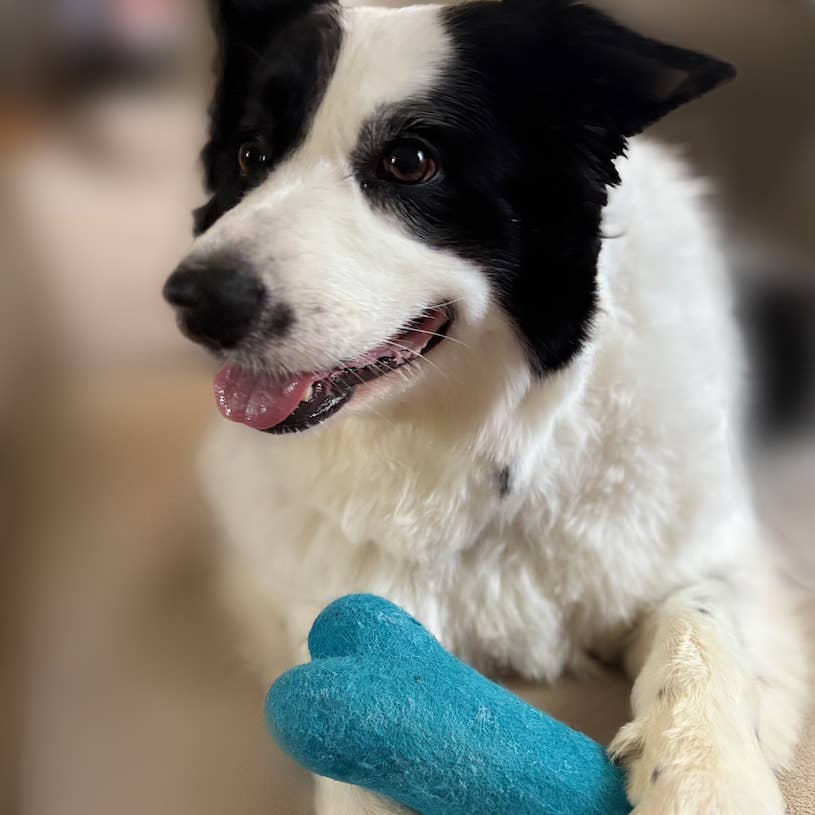 Eco Wool Dog Bones/Toy