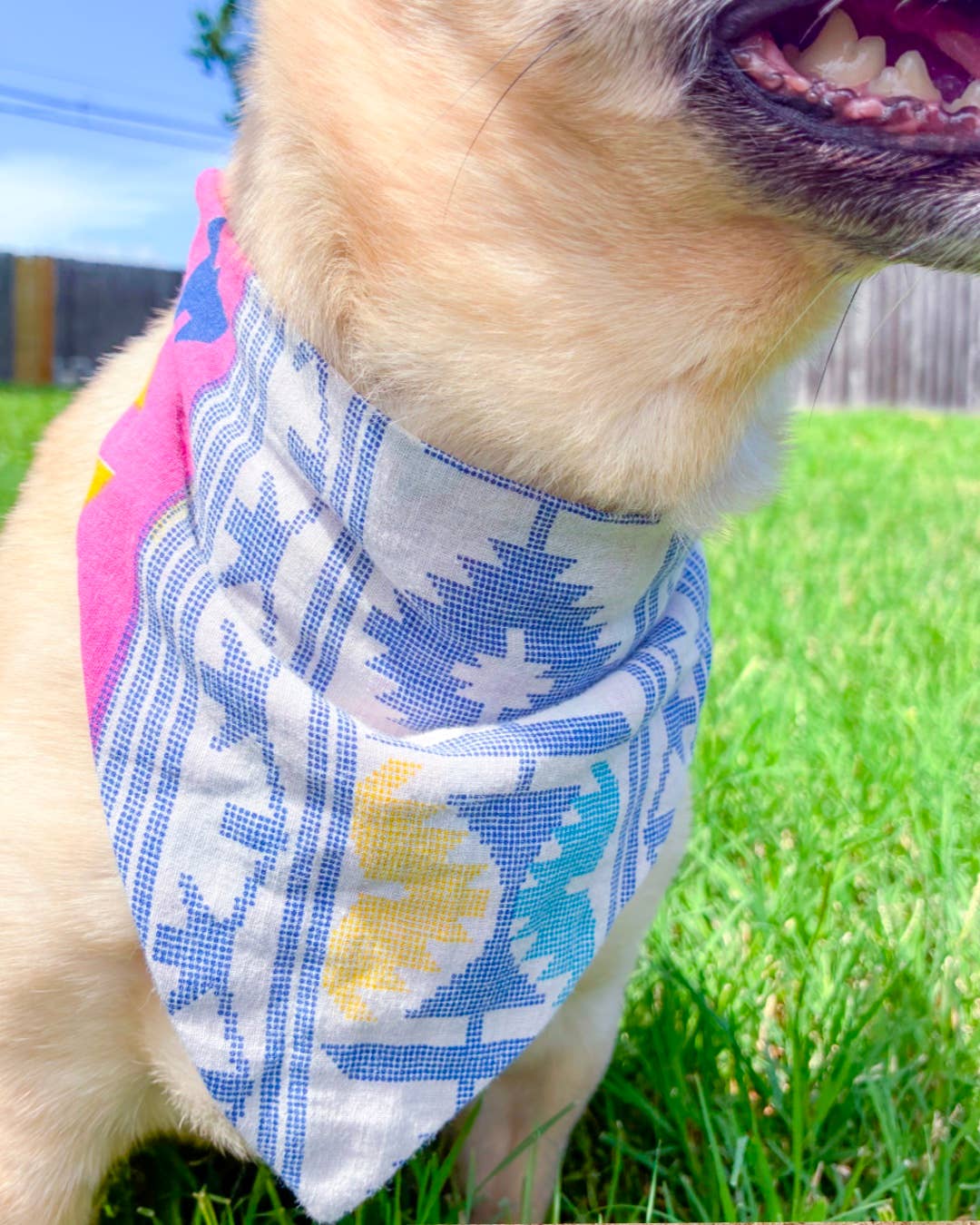 Saree Pet Bandana | Small