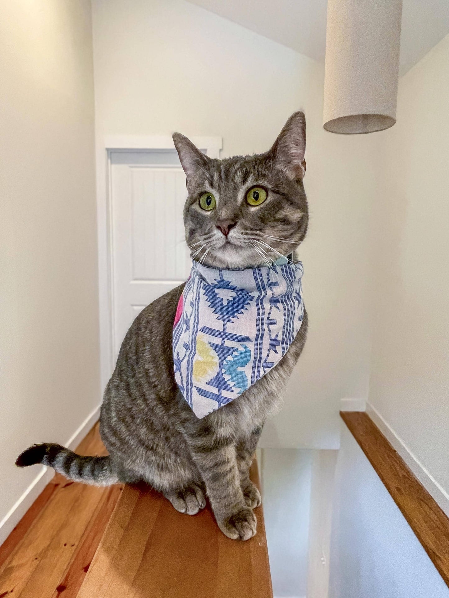 Saree Pet Bandana | Small