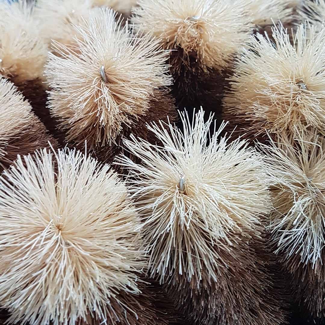 Premium Boxed Bottle Brush Extra Large - All Natural