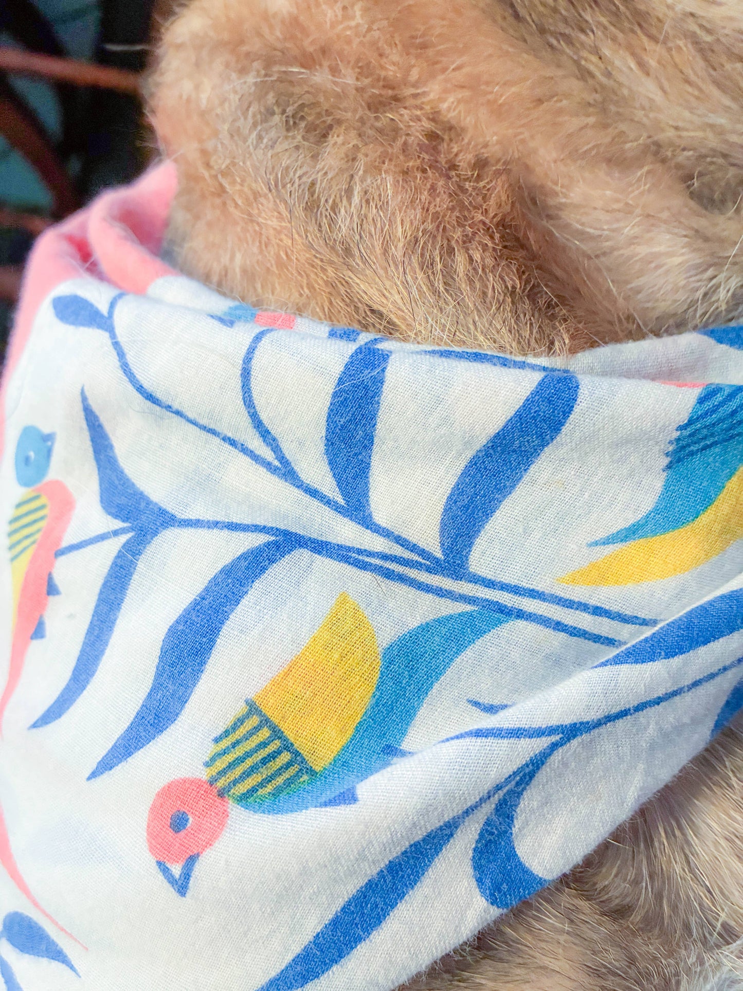 Saree Pet Bandana | Medium