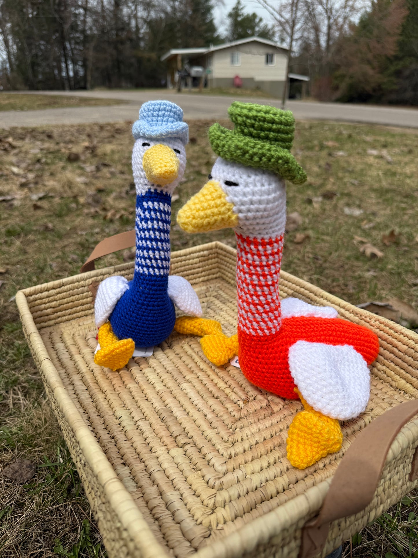 Gentleman Goose