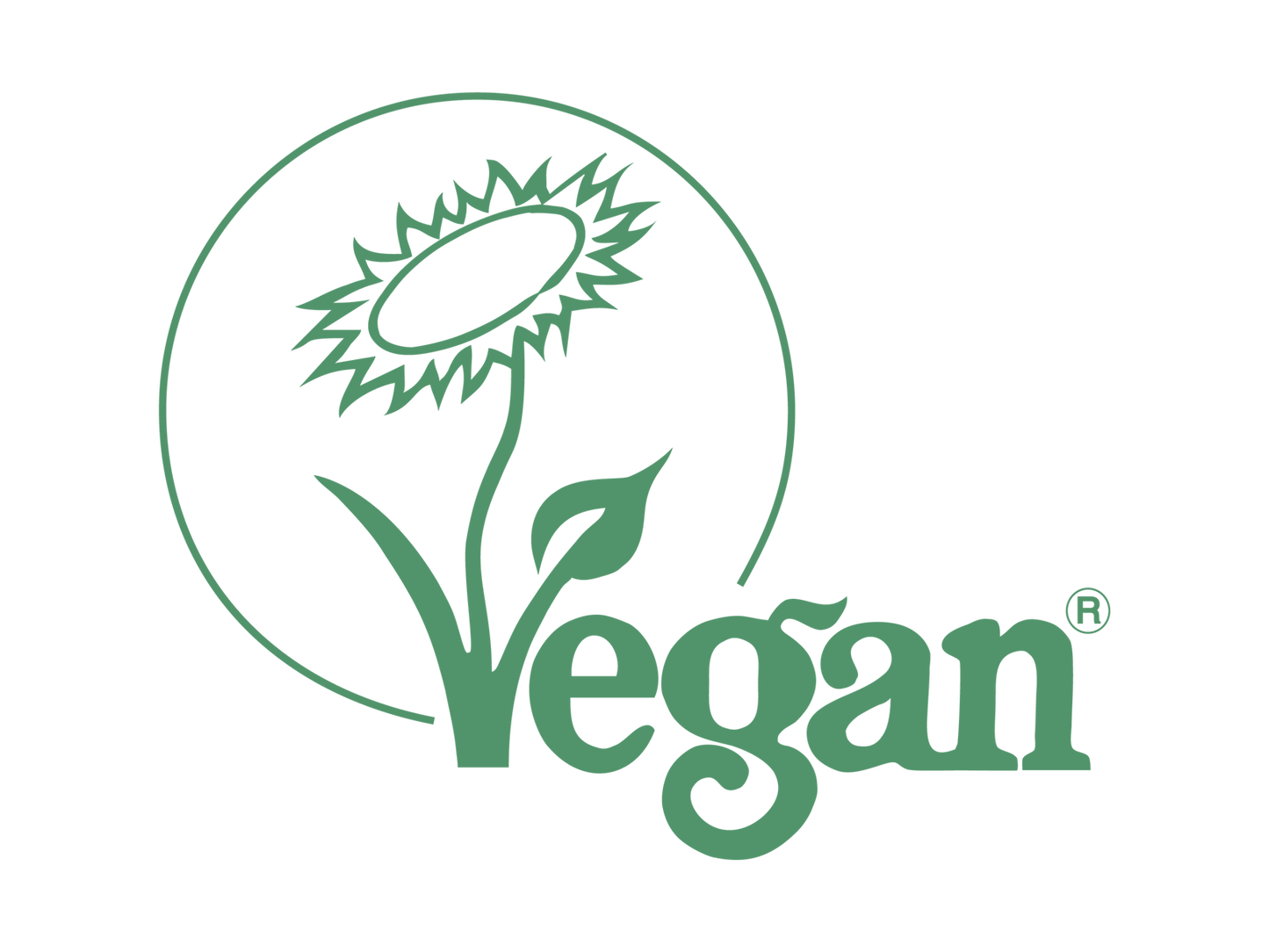 Premium Boxed Dish Brush - 100% Natural, Handmade