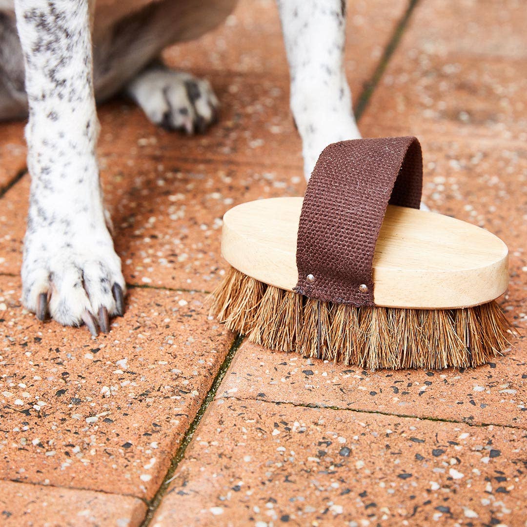 Dog/Pet Grooming Brush - All Natural, Handmade