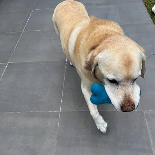 Eco Wool Dog Bones/Toy