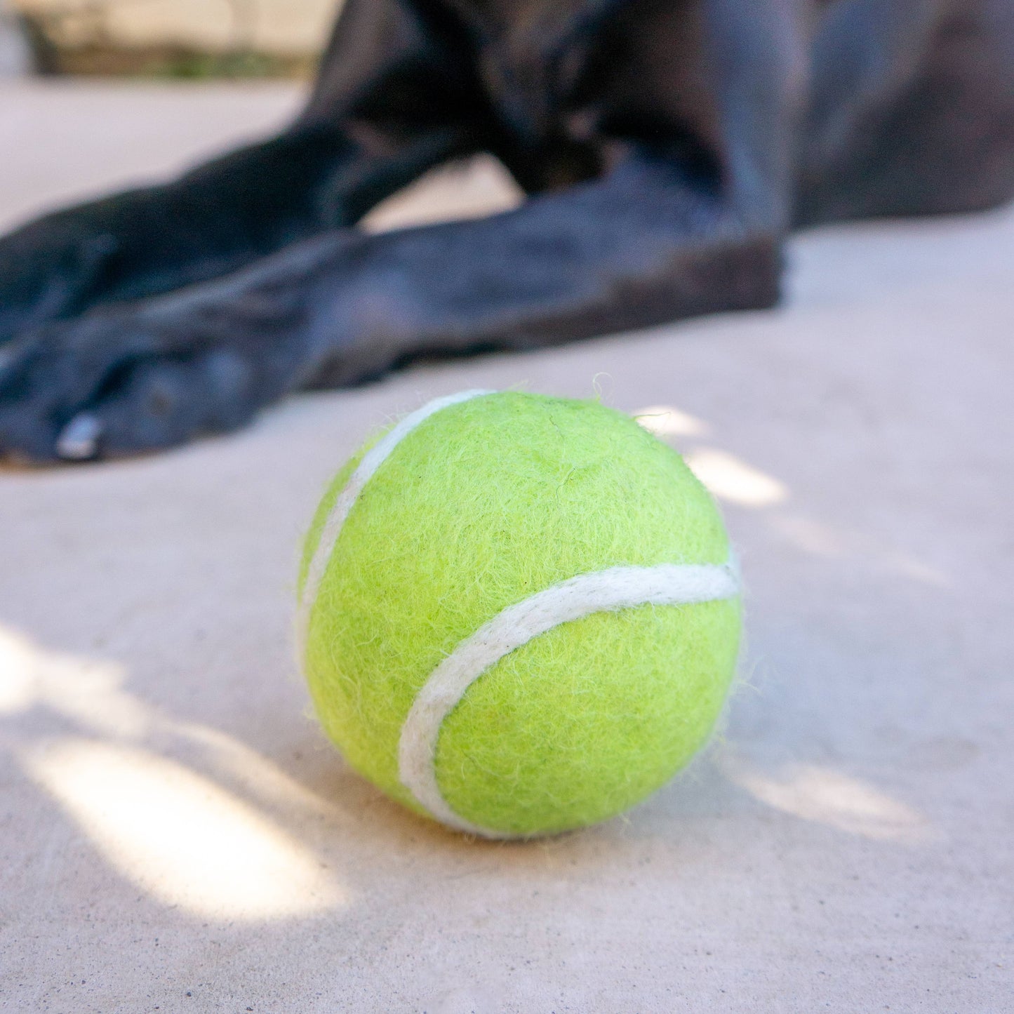 Pet Toy Tennis Wool Ball - Set of 2 - Dog Cat - TEAL & GREEN