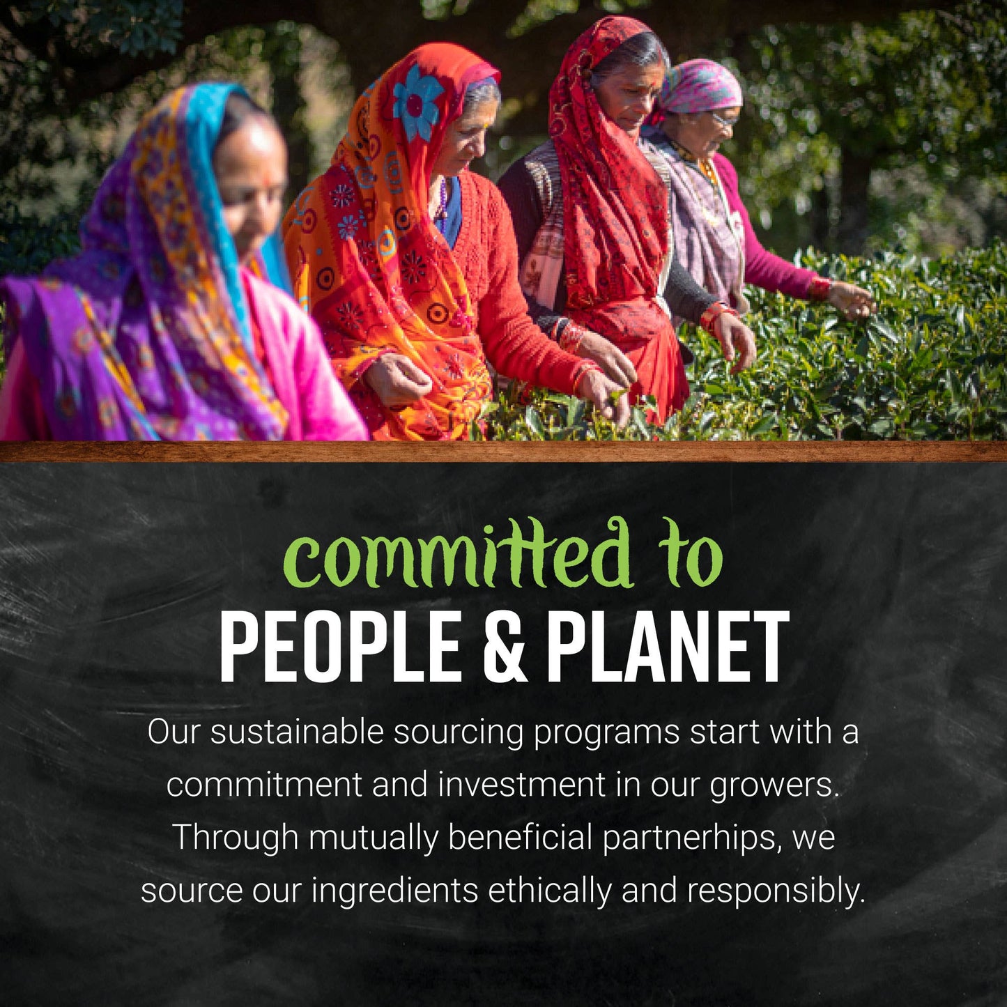 Cinnamon Powder, Korintje, 1.92 Oz